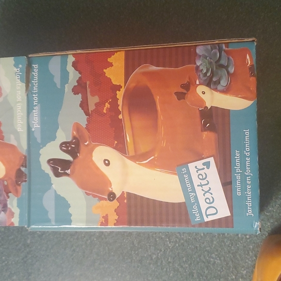 Dexter animal planter - Picture 6 of 6